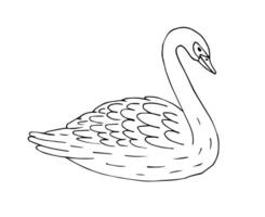 vetor mão desenhado rabisco esboço cisne