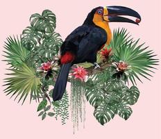 pássaro tucano ariel com folhas de amazona vetor