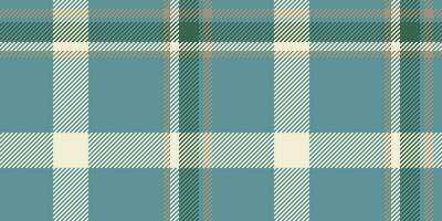 de outros Verifica tecido vetor, conteúdo padronizar xadrez tartan. perfeito desatado fundo textura têxtil dentro ciano e luz cores. vetor