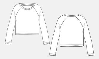 raglan grandes manga t camisa tops blusa técnico desenhando moda plano esboço vetor ilustração modelo para senhoras