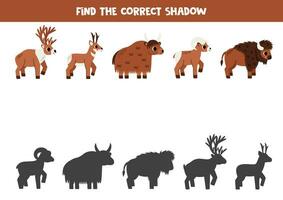 encontrar sombras do fofa norte americano animais. educacional lógico jogos para crianças. vetor