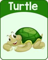 cartão educacional de palavras em inglês de tartaruga vetor