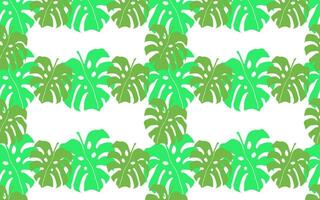 vetor padronizar com tropical monstera folhas em uma branco fundo. padronizar para têxteis, decoração e Projeto.