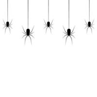 suspensão aranhas para decoração em a transparente fundo. arrepiante fundo para dia das Bruxas vetor