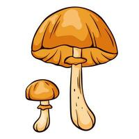 outono calota craniana não comestível cogumelo dentro desenho animado estilo. venenoso plantas esboço. vetor ilustração isolado em uma branco fundo. mortal fungo galerina marginata.