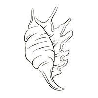 mão desenhado Concha do mar logotipo dentro linha arte estilo. vetor ilustração isolado em uma branco fundo.