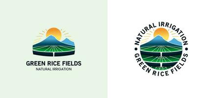 natural Arrozal irrigação logotipo, verde Arrozal vetor para agrícola águas logotipo Projeto