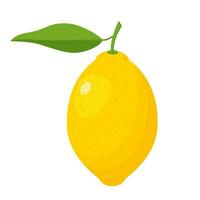 fresco limão frutas com folhas. uma todo limão. amarelo citrino isolado em branco fundo. limão ícone para limonada suco, Vitamina c. vetor ilustração dentro plano estilo