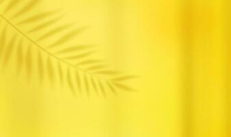 3d esvaziar luz estúdio abstrato fundo com Holofote efeito e tropical Palma folhas sombra. conceito para seu gráfico Projeto poster bandeira e pano de fundo. 3d Renderização. vetor ilustração
