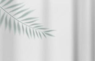 3d esvaziar luz estúdio abstrato fundo com Holofote efeito e tropical Palma folhas sombra. conceito para seu gráfico Projeto poster bandeira e pano de fundo. 3d Renderização. vetor ilustração