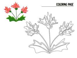 coloração página flor doodle. mão desenhado vetor do floral elemento isolado em branco.