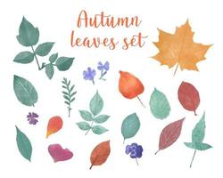conjunto de folhas de outono de herbário em aquarela desenhada à mão isolada vetor
