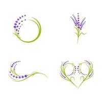 ilustração de ícone de vetor de flor de lavanda