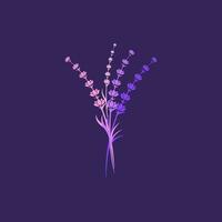 ilustração de ícone de vetor de flor de lavanda