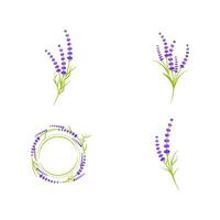 ilustração de ícone de vetor de flor de lavanda