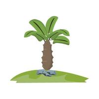 ilustração de palmeira vetor