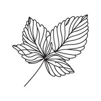 estético decorativo linha arte ilustração do folha, floral vetor