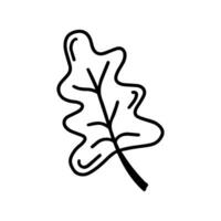 folha de carvalho bonito doodle outono vetor isolada no branco sobre fundo branco. ilustração vetorial desenhada à mão para colorir e livros de arte para adultos e crianças.
