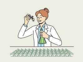 mulher agrícola cientista examina plantas dentro laboratório, selecionando Novo variedades do trigo. conceito do Comida tecnologias e usar do genético modificação de cientistas dentro selecionando para luta fome vetor
