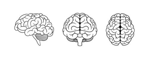 humano cérebro linha arte vetor isolado em branco fundo