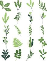 verde botânico folhas ilustração conjunto vetor