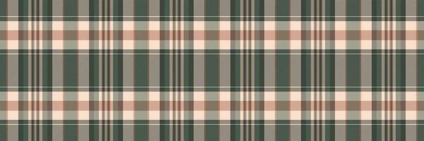 sarja padronizar vetor desatado, pódio têxtil xadrez fundo. rastrear tecido tartan textura Verifica dentro cinzento e luz cores.