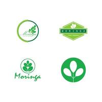 moringa logotipo vetor modelo símbolo natureza