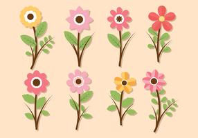 Flor clipart conjunto vector coleção