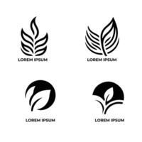 folhas logotipo vetor conjunto isolado em branco fundo. vários formas do folhas do árvores e plantas. elementos para eco e bio logotipos.