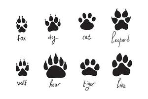animal pata impressões definir, vetor diferente animais pegadas. cachorro Raposa Lobo Urso gato leão leopardo tigre. vetor ilustração