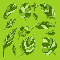 Mão de desenho liso verde folhas Clipart Set Vector