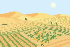 a conceito do apresentando agrícola tecnologias para combate a global problema do terra desertificação. panorama com vegetal Fazenda organizado em terra recuperado a partir de a deserto. melões dentro a areia vetor