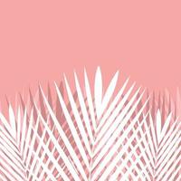 folha de palmeira tropical em fundo rosa. vetor