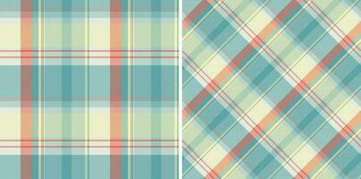 fundo vetor tartan do tecido Verifica xadrez com uma desatado textura padronizar têxtil.