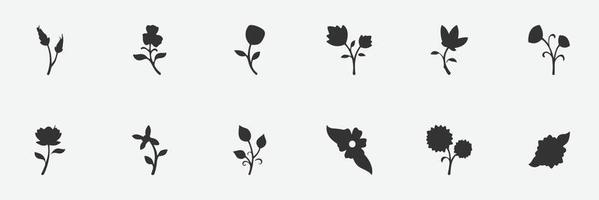 ilustração de flores isoladas em um fundo branco vetor