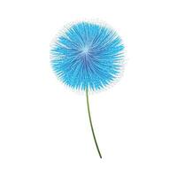 vetor azul allium flor em branco fundo