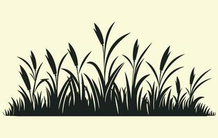 milho plantação. vetor ilustração do doce milho brotando dentro campo
