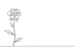 único desenho de linha contínua de linda flor rosa romântica fresca. cartão, convite, logotipo, banner, conceito de cartaz. ilustração em vetor moderno desenho gráfico de uma linha