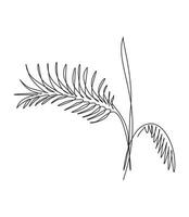 uma única linha desenho ilustração em vetor palm faux areca leaf. estilo de folhas tropicais, conceito abstrato padrão floral para cartaz, impressão de decoração de parede em casa. design gráfico moderno de linha contínua