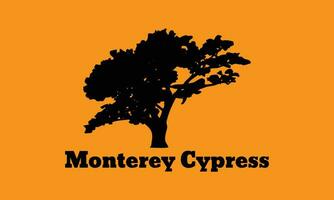 Monterey cipreste árvore silhueta vetor arte, gráficos