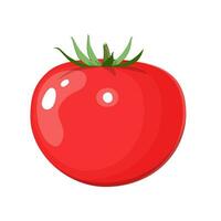 tomate vermelho fresco vetor