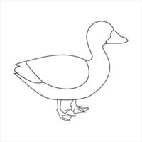 uma Pato contínuo solteiro linha desenhando vetor ilustração. contínuo esboço do animal pássaro ícone.