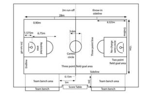 basquetebol quadra com Está tamanho, basquetebol quadra chão com Preto em a branco fundo vetor