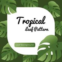 tropical folha vetor monstera plantar padronizar