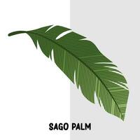 tropical folha vetor sagu Palma