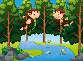 Macaco pendurado na videira na floresta vetor