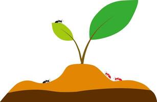 formigas em pequeno plantar vetor ilustração