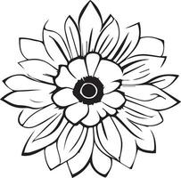 uma Preto e branco desenhando do uma flor vetor