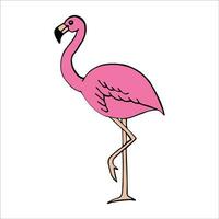 à moda , elegante e impressionante flamingo arte e ilustrador vetor