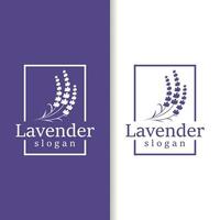 lavanda logotipo elegante roxa flor plantar ilustração floral enfeite Projeto vetor